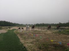 -渔岛海洋度假区