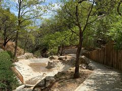 -北京西山国家森林公园