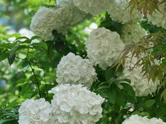 -杭州城北体育公园