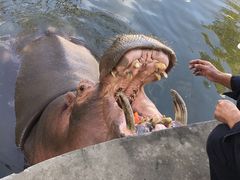 -西安秦岭野生动物园