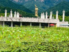 -九华山风景区