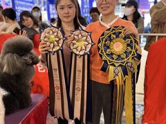 -鑫艺宠物美容培训学校