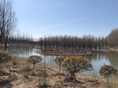 -东郊湿地公园