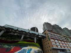 -李子坝梁山鸡(李子坝大鸡哥店)