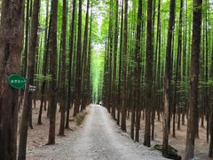 -山王坪喀斯特国家生态公园
