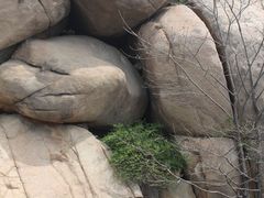 -鲁山国家森林公园