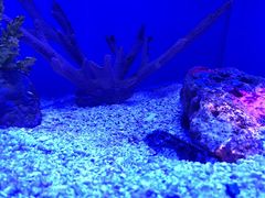 -上海海洋水族馆
