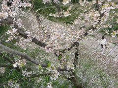 -苏州上方山国家森林公园