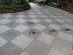 -屯门公园