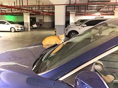 -万达广场·停车场