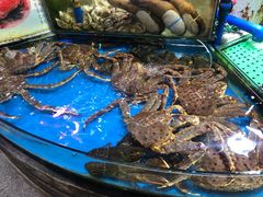 -渔人码头(洛溪店)