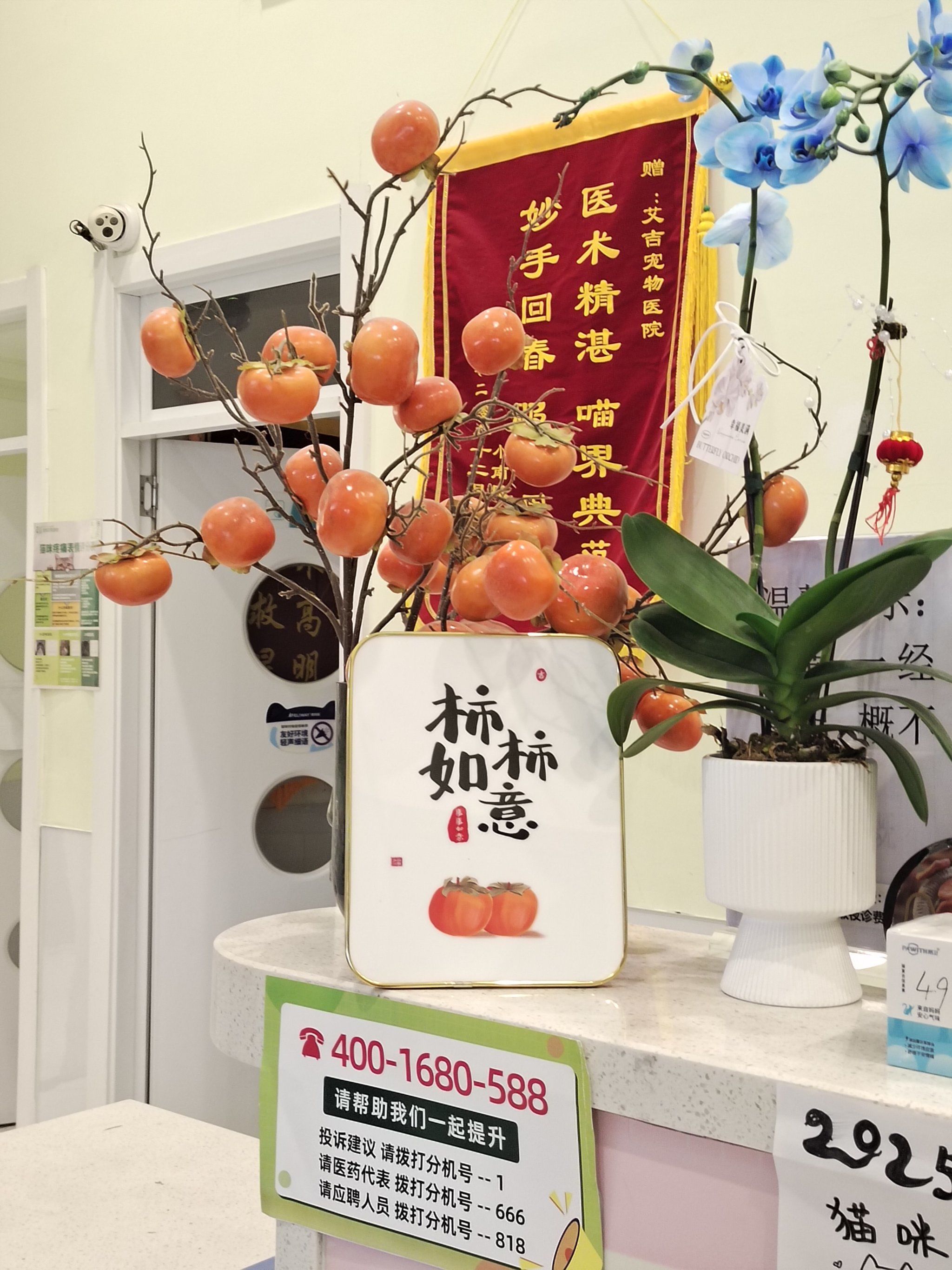 关于航天中心医院陪诊协助挂号疫苗接种全程提醒陪同，按时接种不耽误的信息