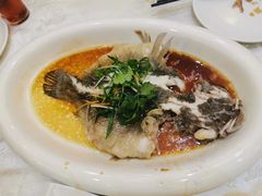 -有腥气私房菜·寻味顺德