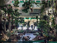 -中国科学院西双版纳热带植物园
