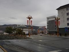 -望天鹅景区
