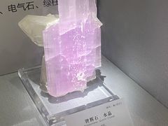 -湖南省地质博物馆