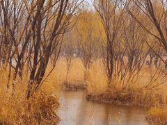 -野鸭湖国家湿地公园