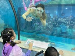 -苏州海洋馆