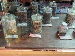 -广东中医药博物馆