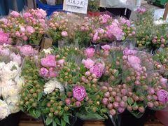 -循礼门鲜花花市(武汉循礼门店)