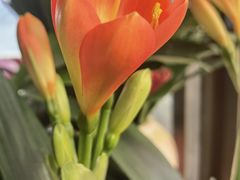 -兴隆文化园景区