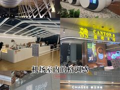 -上海浦东国际机场-T2航站楼