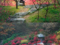 -桃花涧