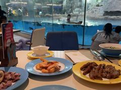 -帝企鹅自助餐厅•儿童岛•真企鹅(长隆企鹅酒店)