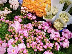 -循礼门鲜花花市(武汉循礼门店)