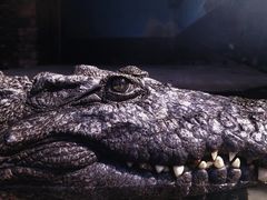 -宁波野生动物园