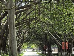 -厦门大学(思明校区)