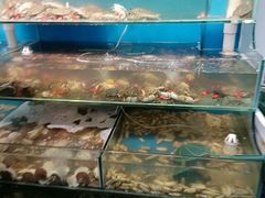 -仙螺岛海鲜自助餐厅(总店)