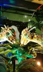 -恐龙探索乐园(磁器口店)