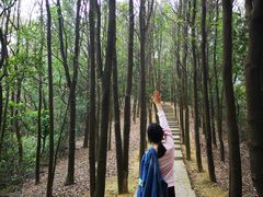 -广州市帽峰山景区
