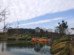 -黄龙溪欢乐田园