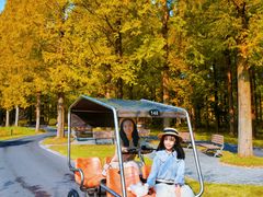 -黄海国家森林公园