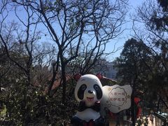 -昆明动物园
