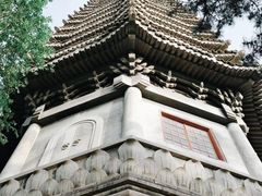 -北京大学百年讲堂