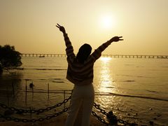 -宝安西湾红树林湿地公园