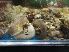 -盒马鲜生(皇庭广场店)