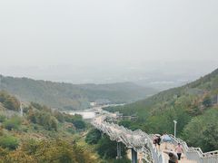 -大青山野生动物园