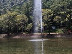 -龙湾潭国家森林公园