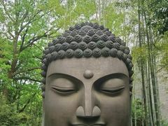 -杭州植物园