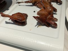 -琬苑鸽庄·川粤融合菜(解放碑总店)