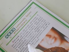 -柠檬车露(卖草地店)