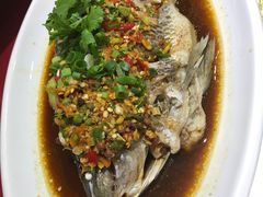 -大笮风(体育馆总店)