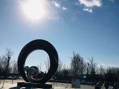 -大兴滨河森林公园