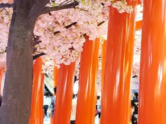 -新城市广场