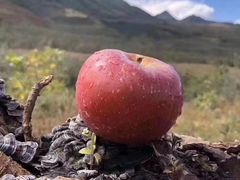 -鸿港海鲜批发市场