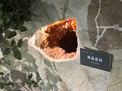 -中国地质博物馆